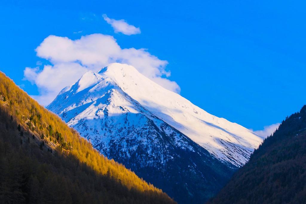 Monte Rosa Leilighet Saas-Grund Eksteriør bilde
