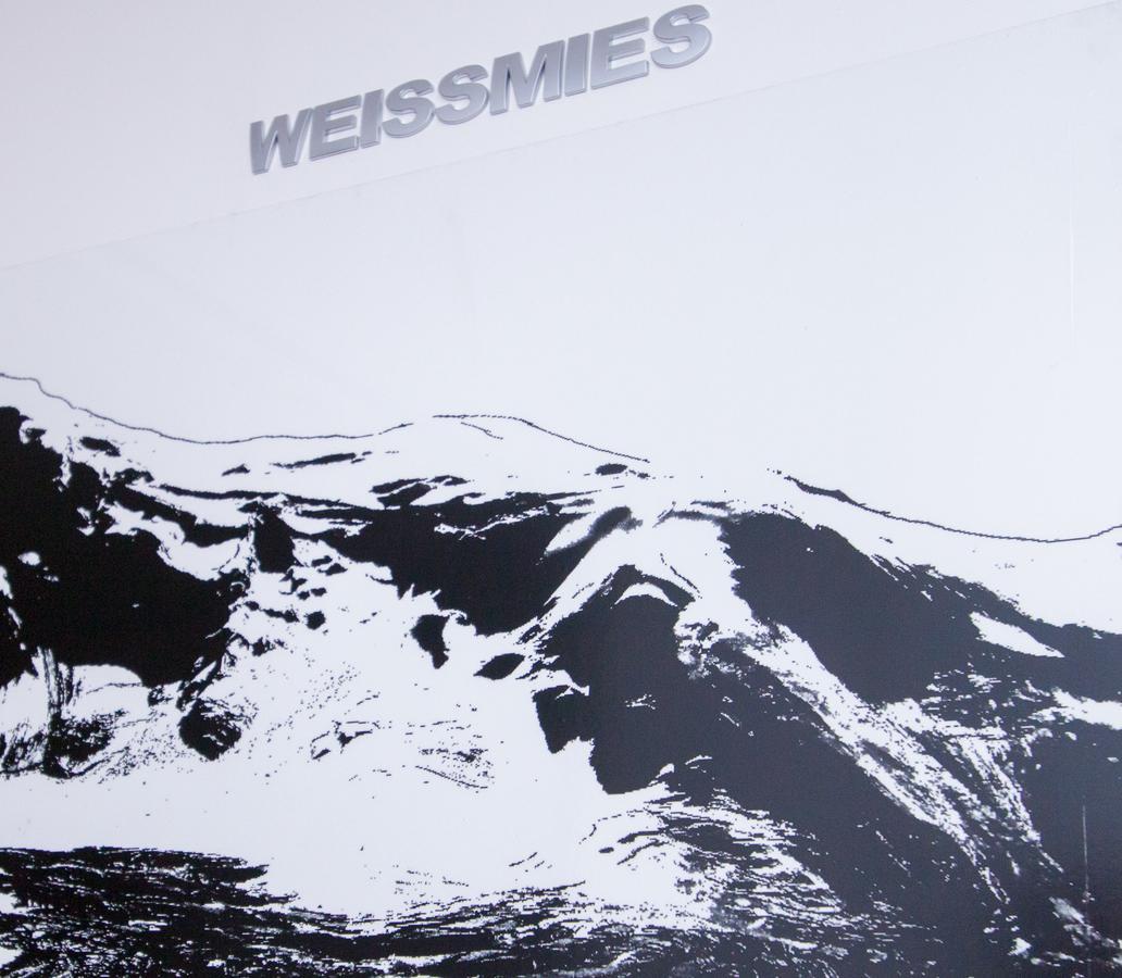 Monte Rosa Leilighet Saas-Grund Rom bilde